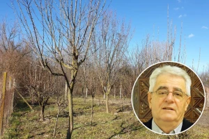 Veljača 'prevrtača' opravdava naziv i pokazuje pravo lice