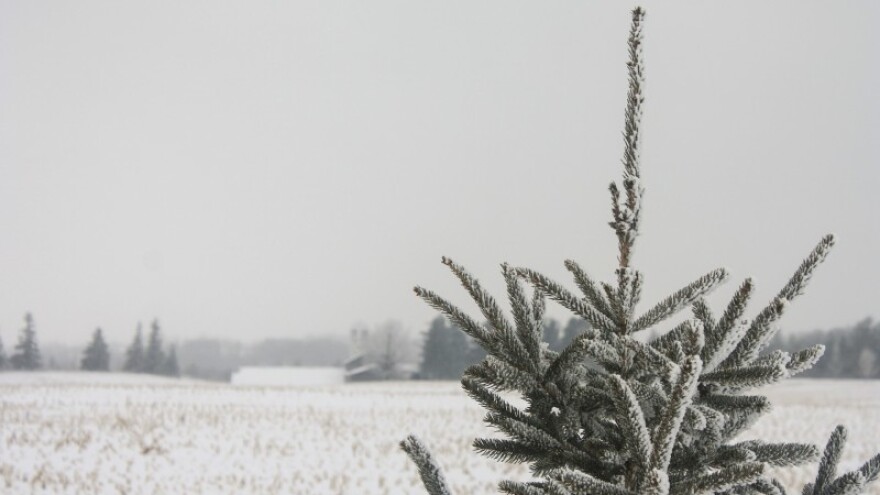 Snijeg će prekriti usjeve na kontinentu