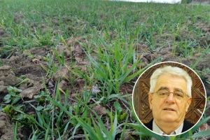 Veljača nas ove godine neće ošinuti svojim repom