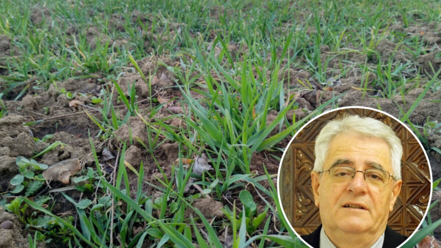 Veljača nas ove godine neće ošinuti svojim repom