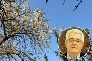 Pučka izreka kaže: Aprilski mraz napravi veće štete, nego ljetna tuča i suša zajedno