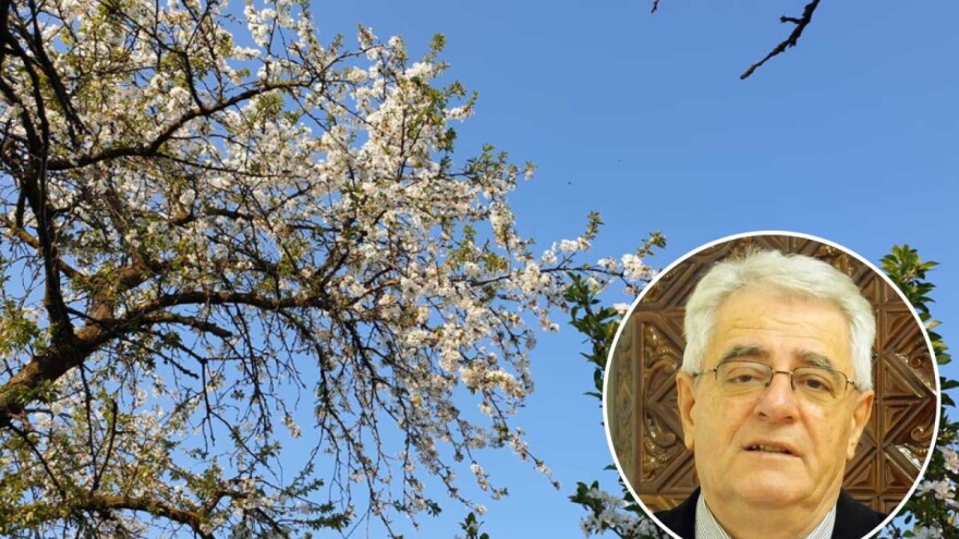 Pučka izreka kaže: Aprilski mraz napravi veće štete, nego ljetna tuča i suša zajedno