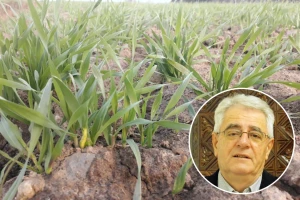 Suša će sigurno još potrajati, pripazite na stvaranje pokorice