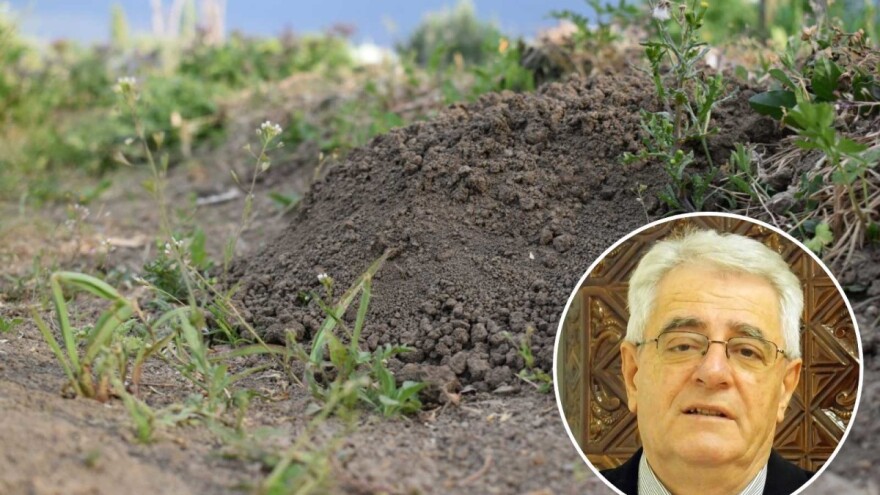 Kiša stiže, ali nažalost, opasnost od pojave mraza još uvijek postoji