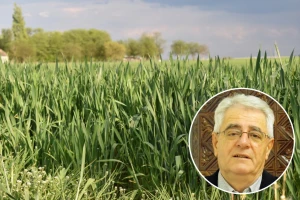 Svibanjske kiše padajte što više