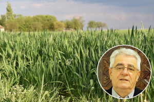 Svibanjske kiše padajte što više