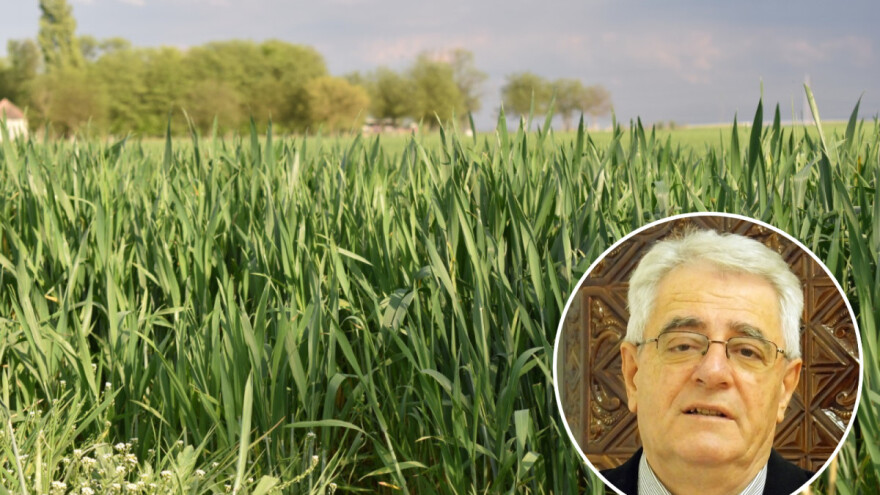 Svibanjske kiše padajte što više