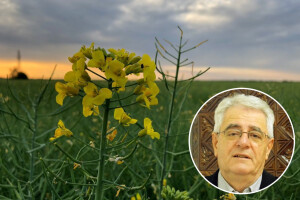 Tlo je ponovno suho, a oborine očekujemo tek idući tjedan