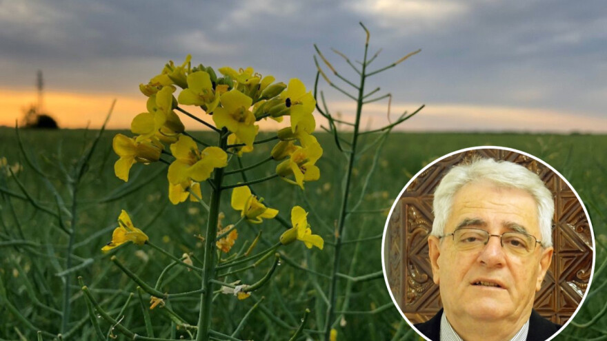 Tlo je ponovno suho, a oborine očekujemo tek idući tjedan