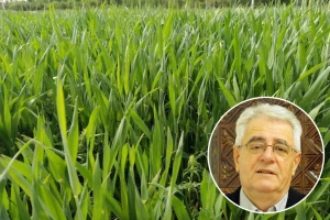 Ne svlači zimski halj dok ne prođe mjesec maj