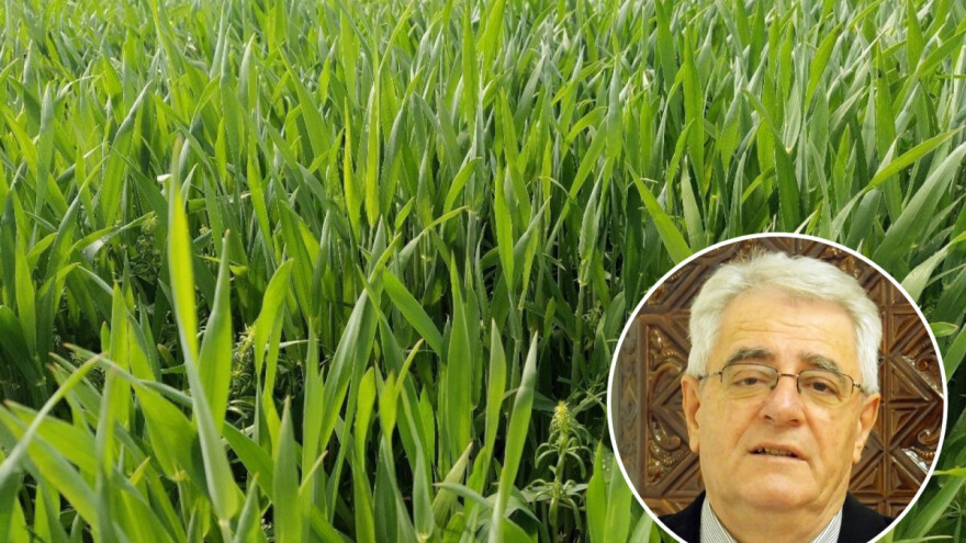 Ne svlači zimski halj dok ne prođe mjesec maj