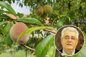 Vjerojatnost za pljuskove je velika