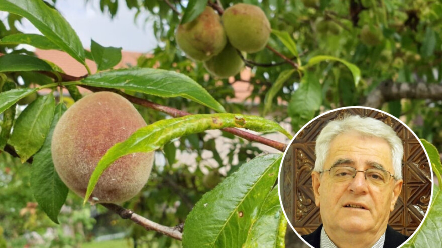 Vjerojatnost za pljuskove je velika