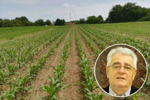 Stiže nam ljeto, ali razdoblje vrlo nestabilnog vremena se nastavlja