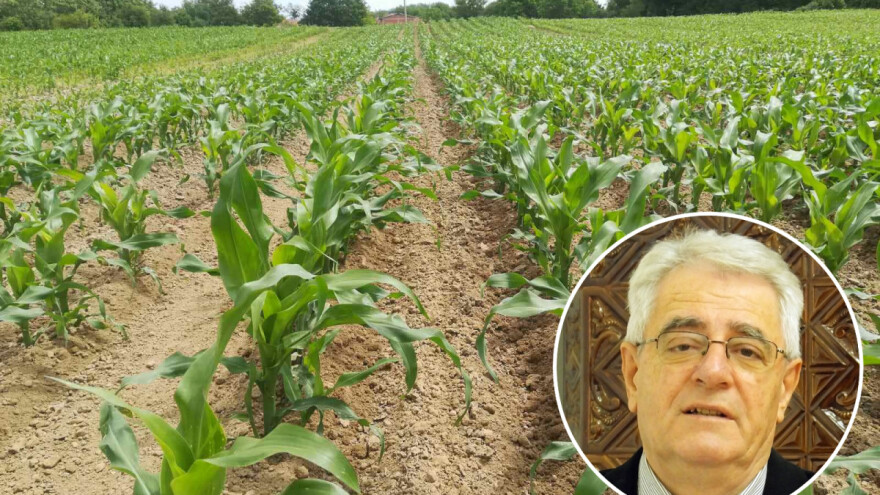 Nema ljeta do svetog Petra