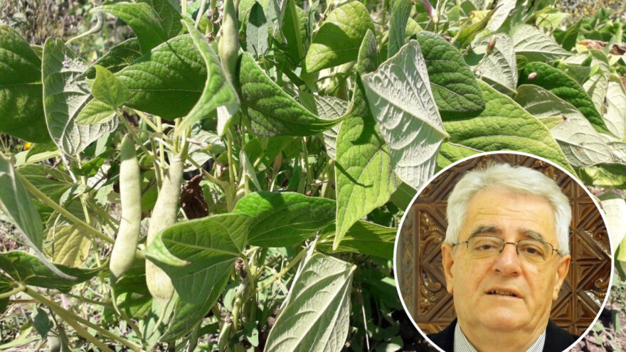 Poslovica kaže: Jakov kuri, Ana žari - no vremenu koje stiže nimalo se ne veselimo