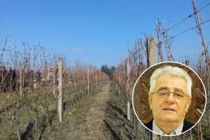 Stiže sv. Vinko, ali i južina