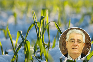 Do subote toplije, a zatim snijeg i zahladnjenje