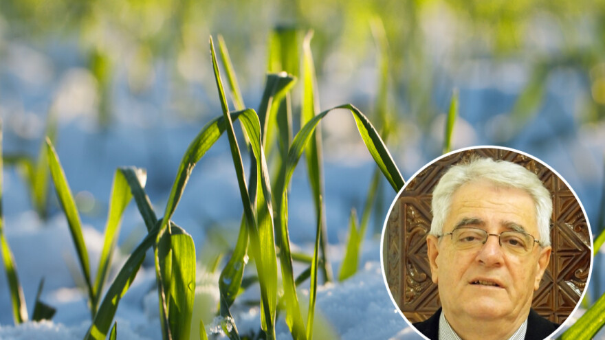 Do subote toplije, a zatim snijeg i zahladnjenje