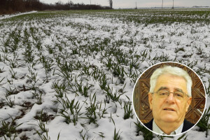U danima koji dolaze ponovno će osjetno zatopliti