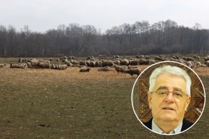 Odlazi prevrtača, stiže lažac: Ožujak ipak neće biti ovako topao?