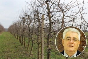 Kraj proljetnih temperatura? Stiže osjetna promjena vremena