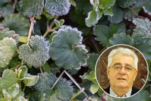 Mraz nismo izbjegli, pravo proljeće stiže nakon "hladne Sofije"