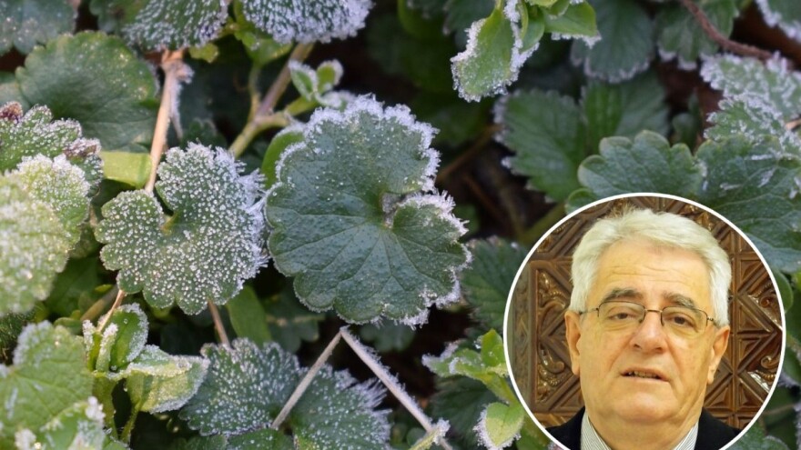 Mraz nismo izbjegli, pravo proljeće stiže nakon "hladne Sofije"