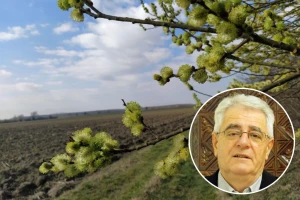 Pučka izreka kaže: Bolje da te nije, nego da te ožujsko sunce grije