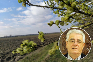 Pučka izreka kaže: Bolje da te nije, nego da te ožujsko sunce grije