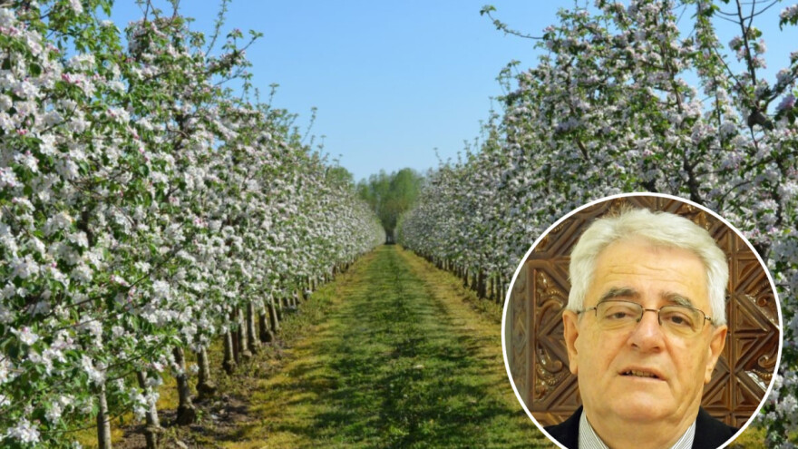 Petak donosi osjetan pad temperature zraka, a kakvo će vrijeme biti za Uskrs?