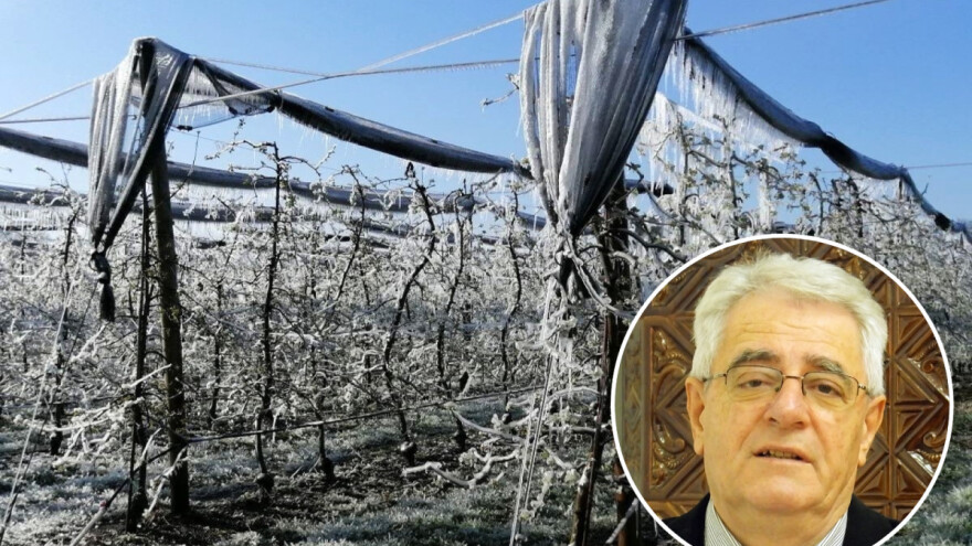 Crni dani za voćare i vinogradare još uvijek nisu prošli