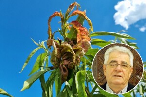 S astronomskim ljetom stižu i vrućine