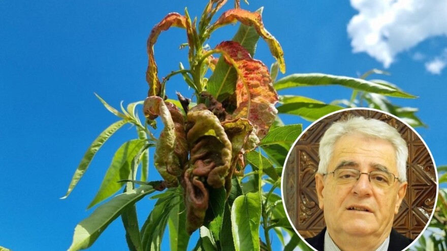 S astronomskim ljetom stižu i vrućine