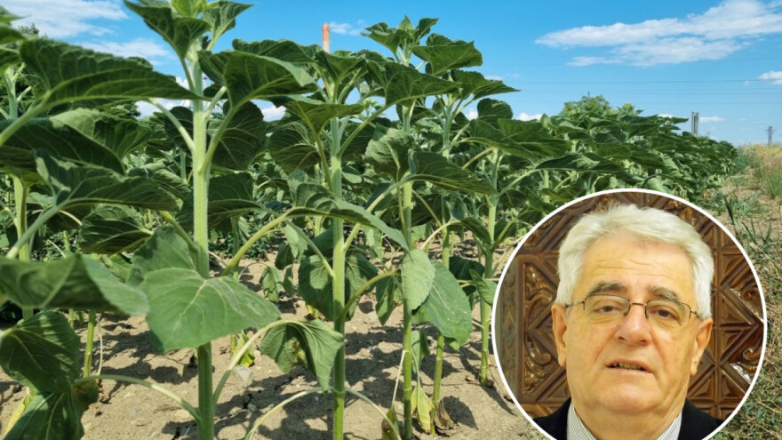 Stiže promjena vremena, nažalost moguća je i tuča