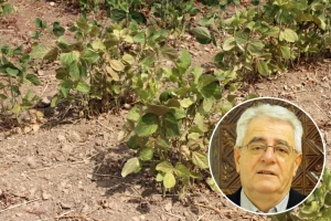 Dolazi kraj suši, ali i opasnost od nevremena s mogućnošću tuče
