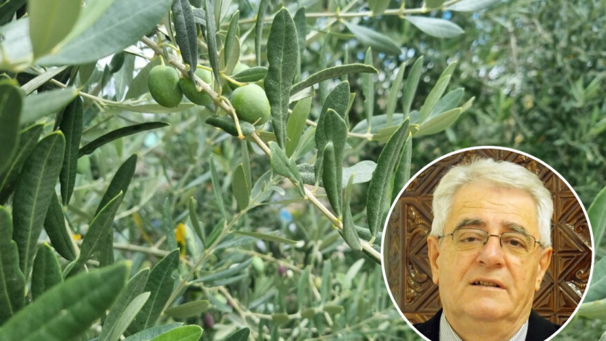 Suho, sunčano i vruće, a kad će pasti barem malo kiše?