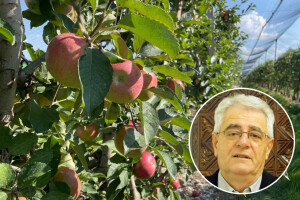 Suho, sunčano i ugodno toplo uz lokalne pljuskove