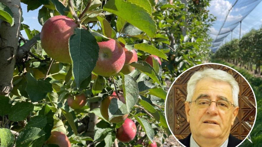 Suho, sunčano i ugodno toplo uz lokalne pljuskove