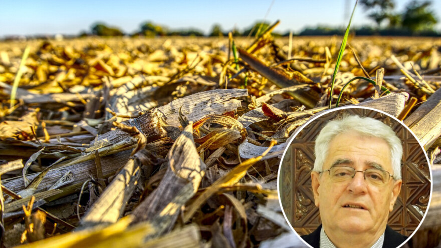 Bablje odnosno Miholjsko ljeto uskoro počinje!