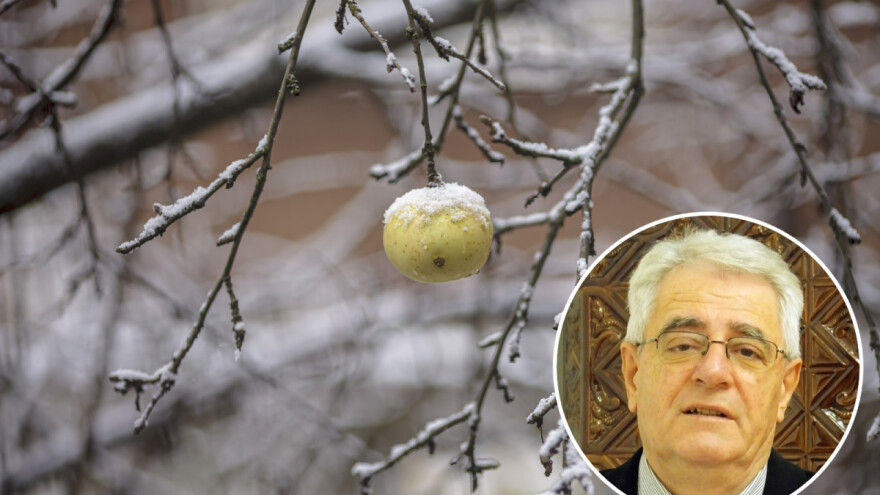 Pojava snijega moguća je i u danima ove kasne jeseni