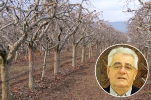 O Božiću juga – bit će zima duga