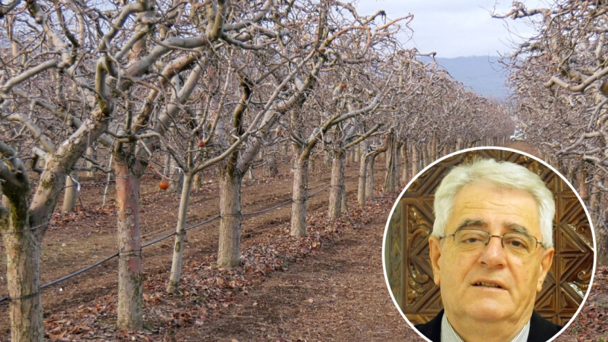 O Božiću juga – bit će zima duga