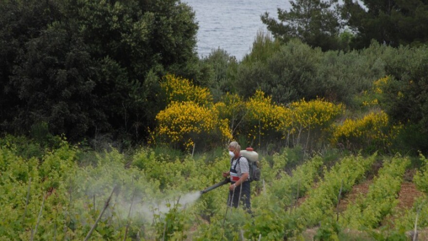 Prognoze se popravljaju - radovi u tijeku!
