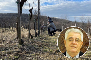 Proljeće u veljači - stiže iznadprosječno toplo vrijeme za ovo doba godine