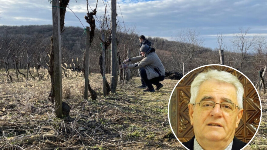 Proljeće u veljači - stiže iznadprosječno toplo vrijeme za ovo doba godine