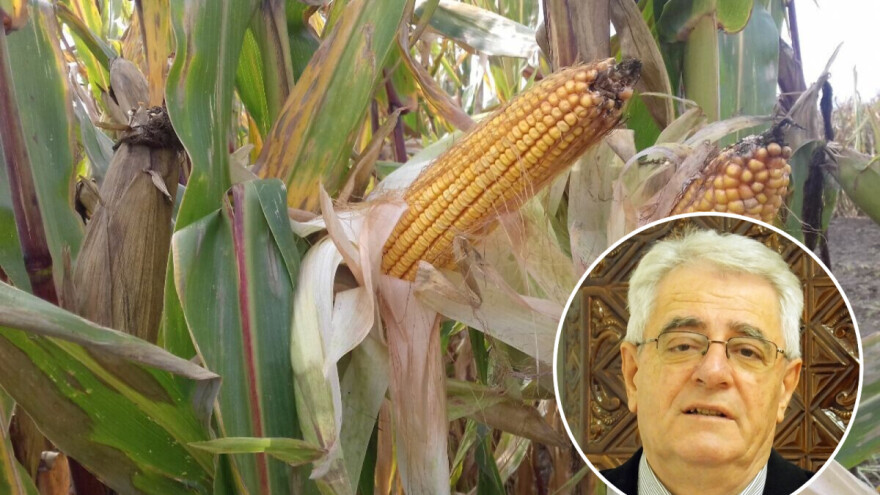 Nakon oborina uskoro slijede suhi, ali ne odveć topli dani