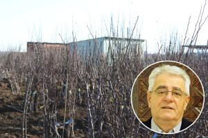 Požurite s planiranim, oborine će zaustaviti poljoprivredne radove