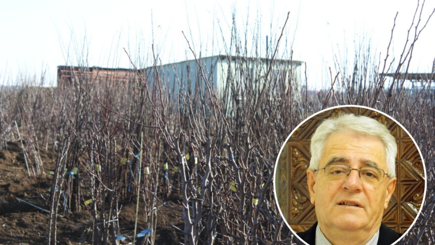 Požurite s planiranim, oborine će zaustaviti poljoprivredne radove