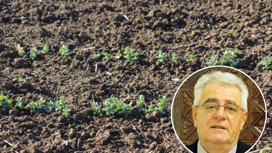 Ispraćamo prevrtaču, stiže mjesec lažac. Kakvo vrijeme očekivati?